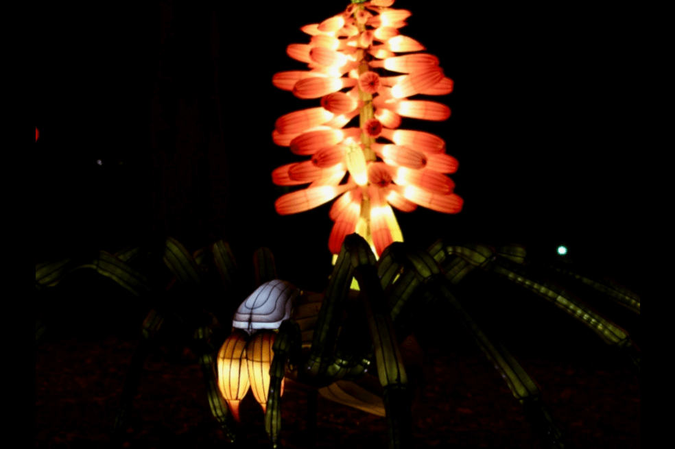 En imágenes: animales gigantes iluminan el Jardín Botánico de Bogotá