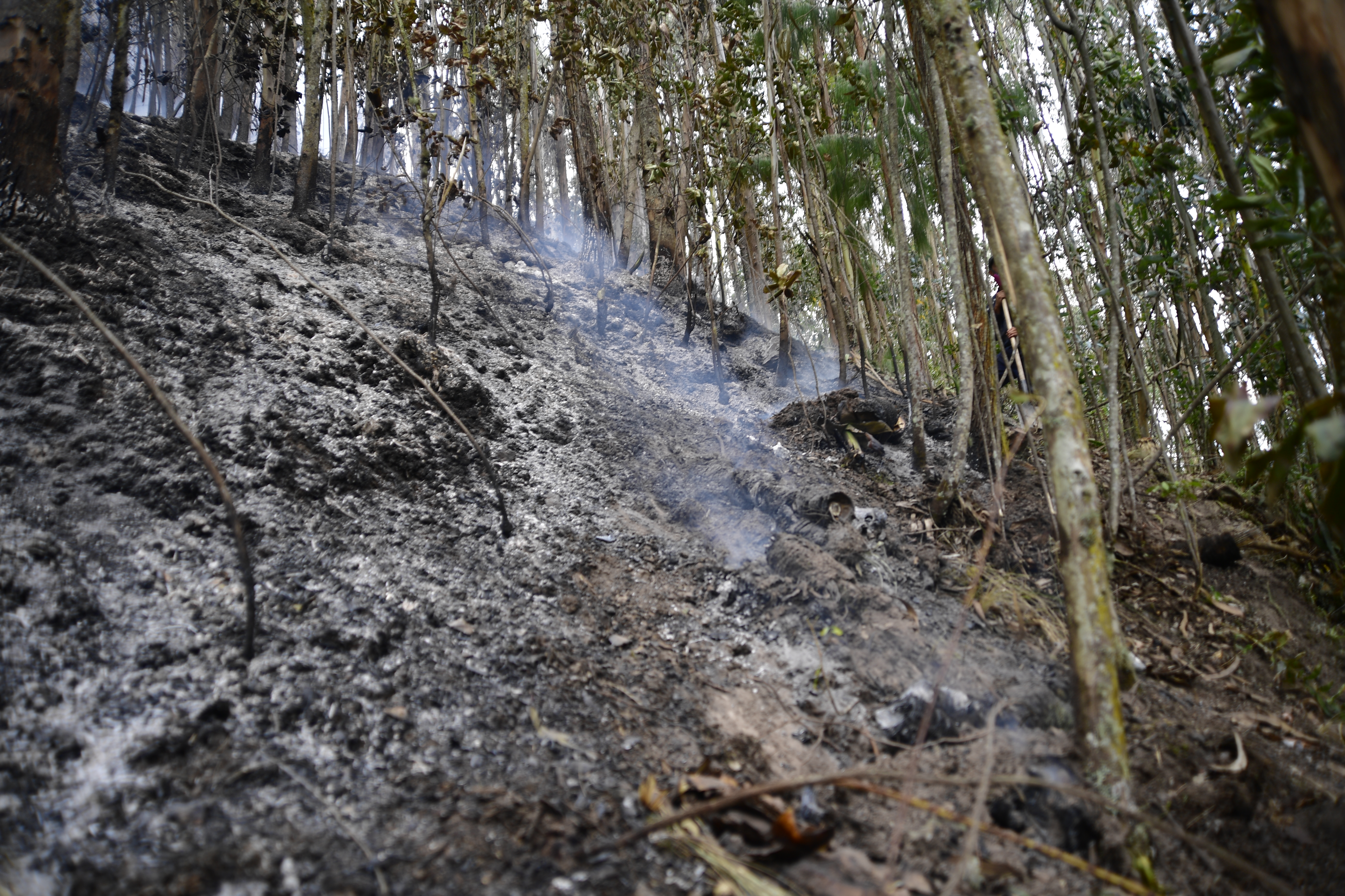 Se reactivó incendio en Bosa. Bomberos tratan de controlar situación