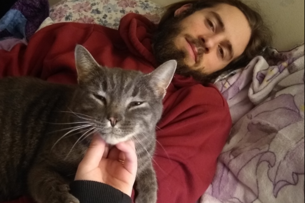 Gato reparte abrazos con desconocidos hasta que familia decide adoptarlo