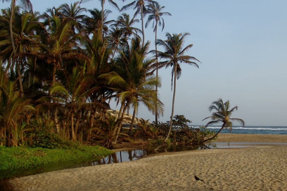 De las 15.000 hectáreas que conforman el  Parque Nacional Natural Tayrona 3.000 son área marina.
