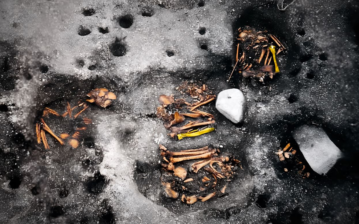 La familia del microbio de la sífilis ya estaba en América antes de la llegada de Colón