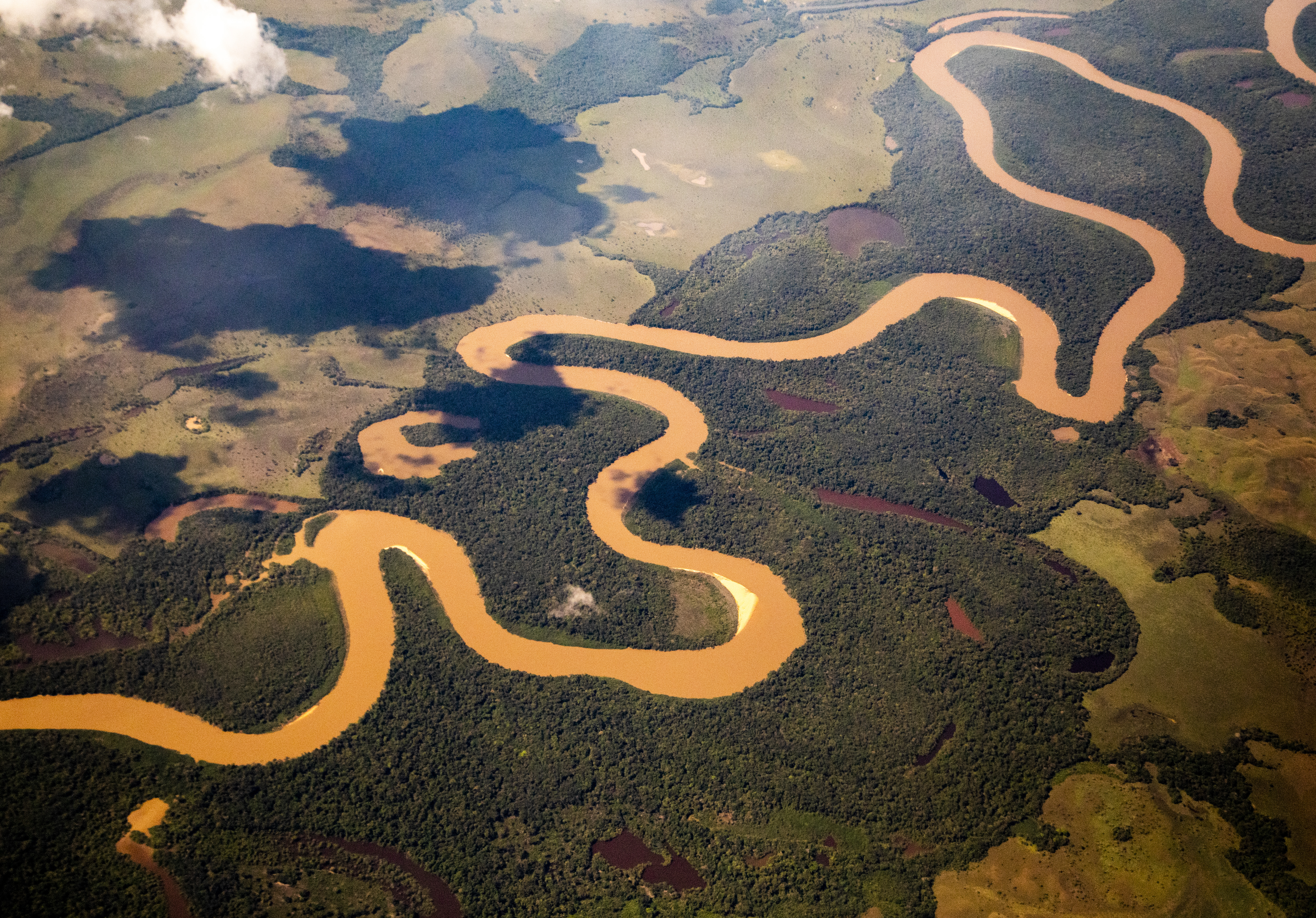 Autoridades americanas iniciaron cooperación para la protección de la Amazonía