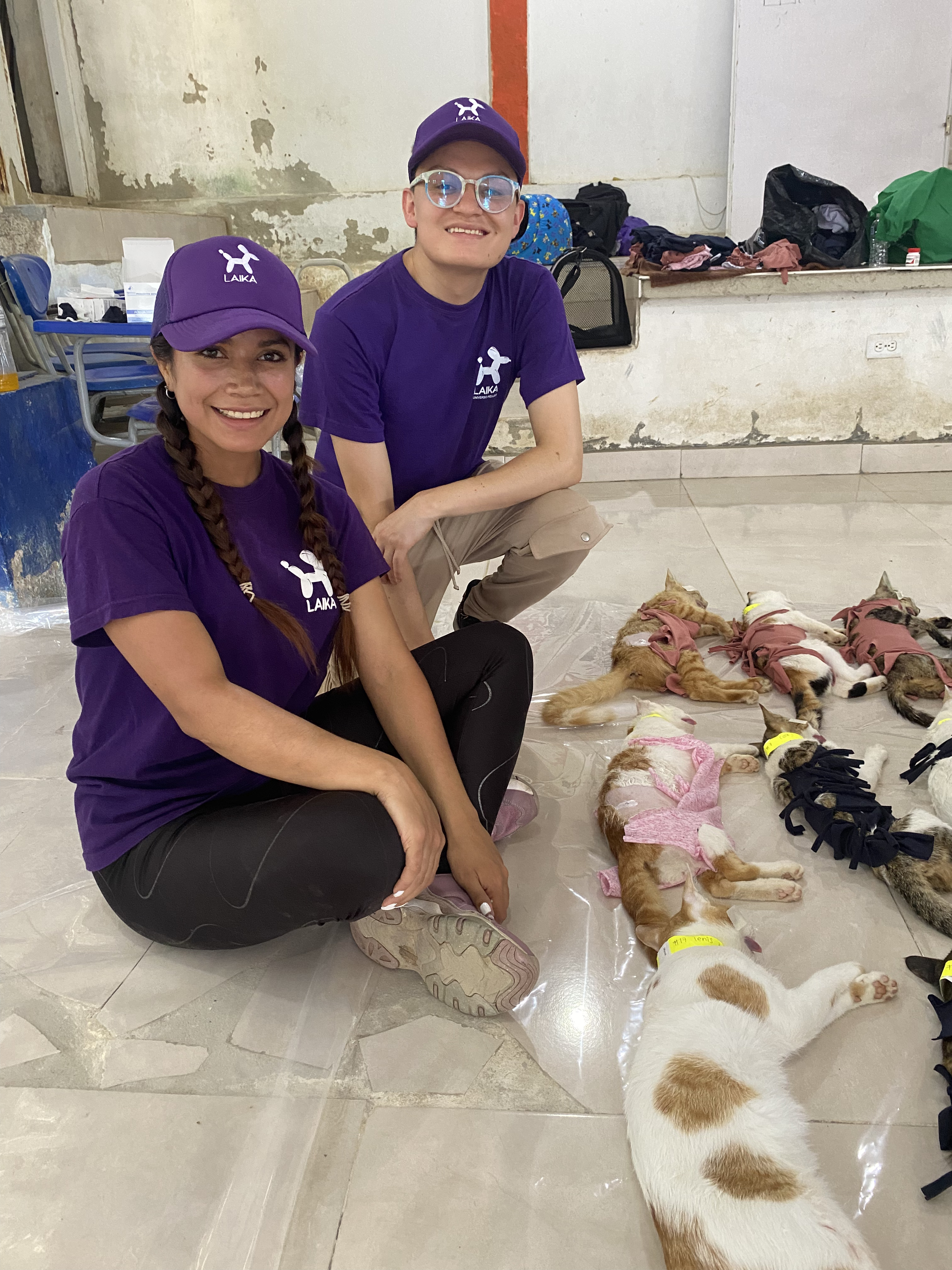 LAIKA y la Fundación Por Amor a Rocky se unen para beneficiar a más de 700 animales en Santa Marta