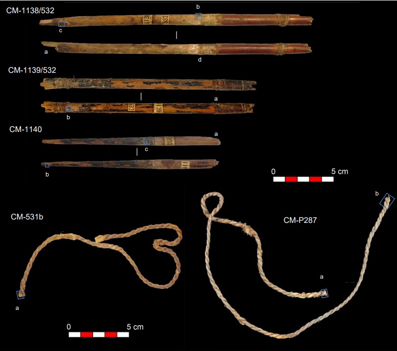 Tendones de animales y caña: las sofisticadas armas que se usaron hace 10.000 años