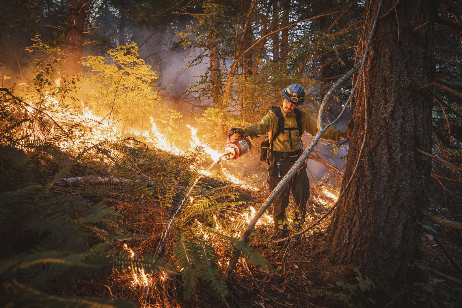 Buen fuego.