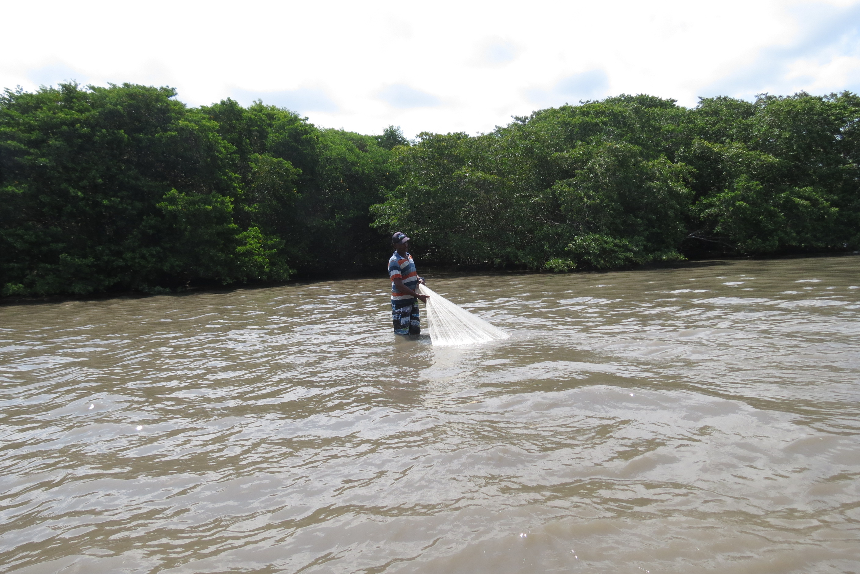 Las barreras que enfrentan más de 350.000 pescadores artesanales en Colombia