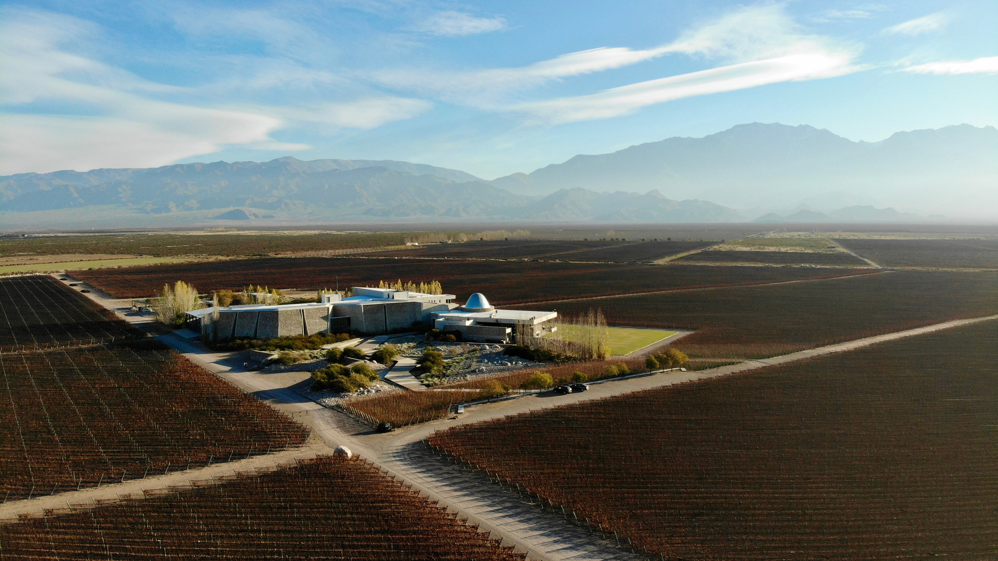 Cinco bodegas latinoamericanas elegidas entre las 10 mejores del mundo