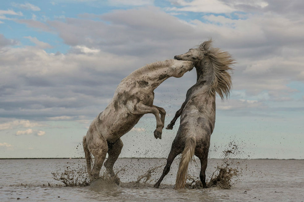 Un colombiano, premiado en el Concurso de Fotografía de The Nature Conservancy