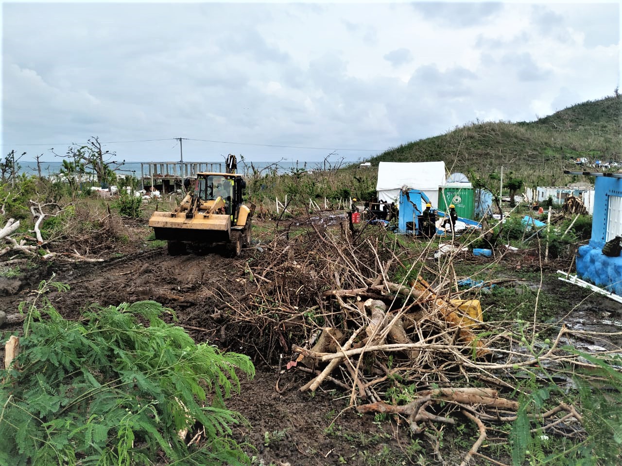 Comenzó la construcción del primer vivero para recuperar la vegetación de Providencia tras Iota