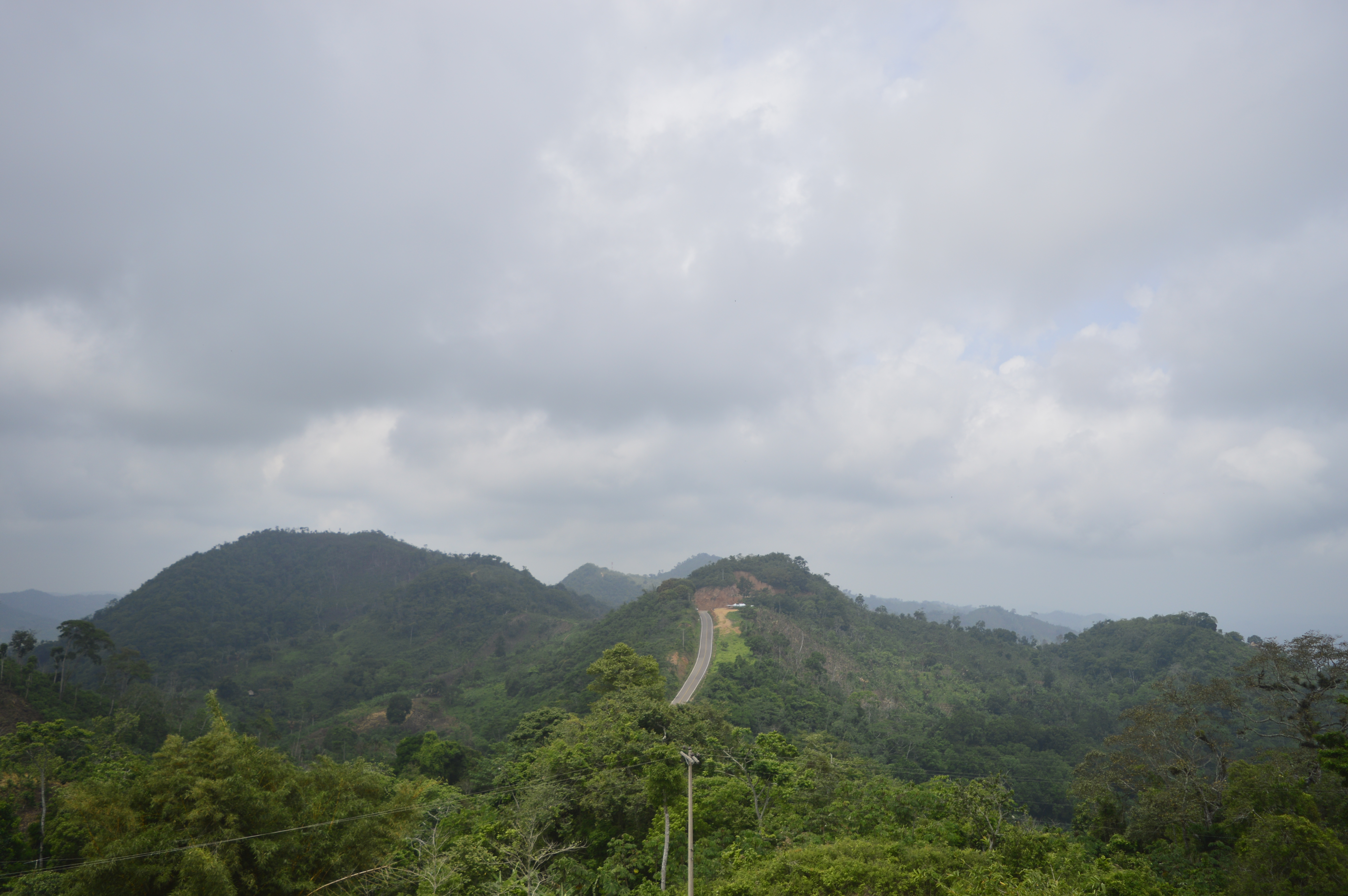 Bonos de carbono: un negocio verde con disputa de tierras