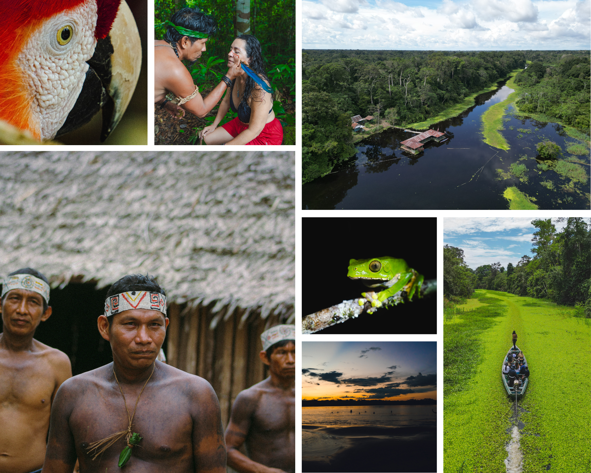 Amazonas, inefable: un viaje interior en el pulmón del mundo