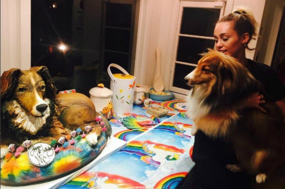 El dulce regalo de Liam Hemsworth a Miley Cyrus en su cumpleaños