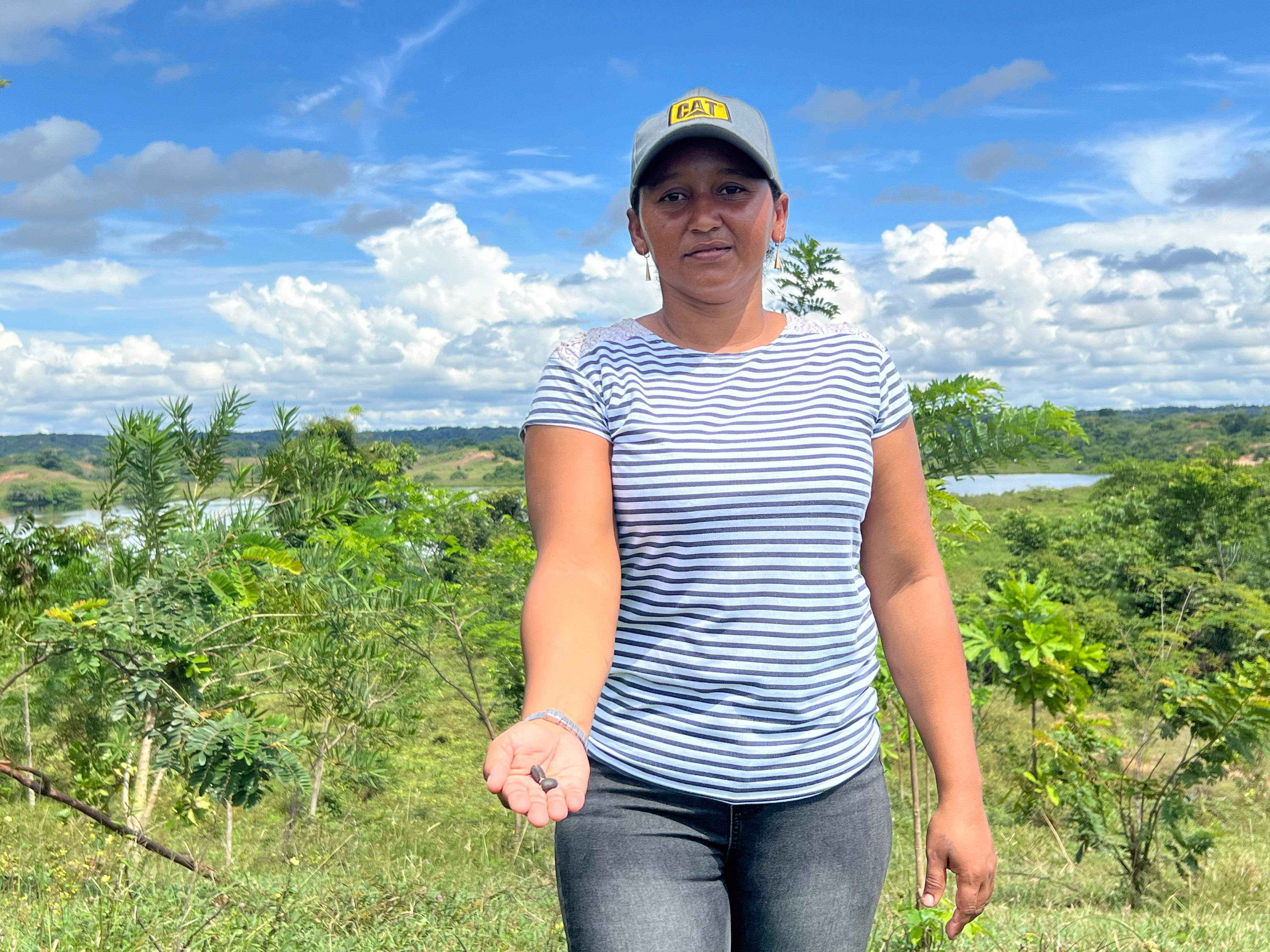 ¿Qué es la fitorremediación y por qué es esperanza en tierras de minería ilegal?