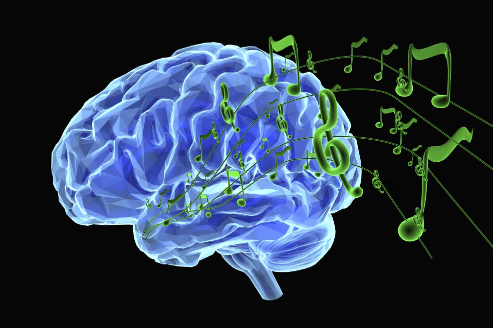 El cerebro funciona como una sinfónica
