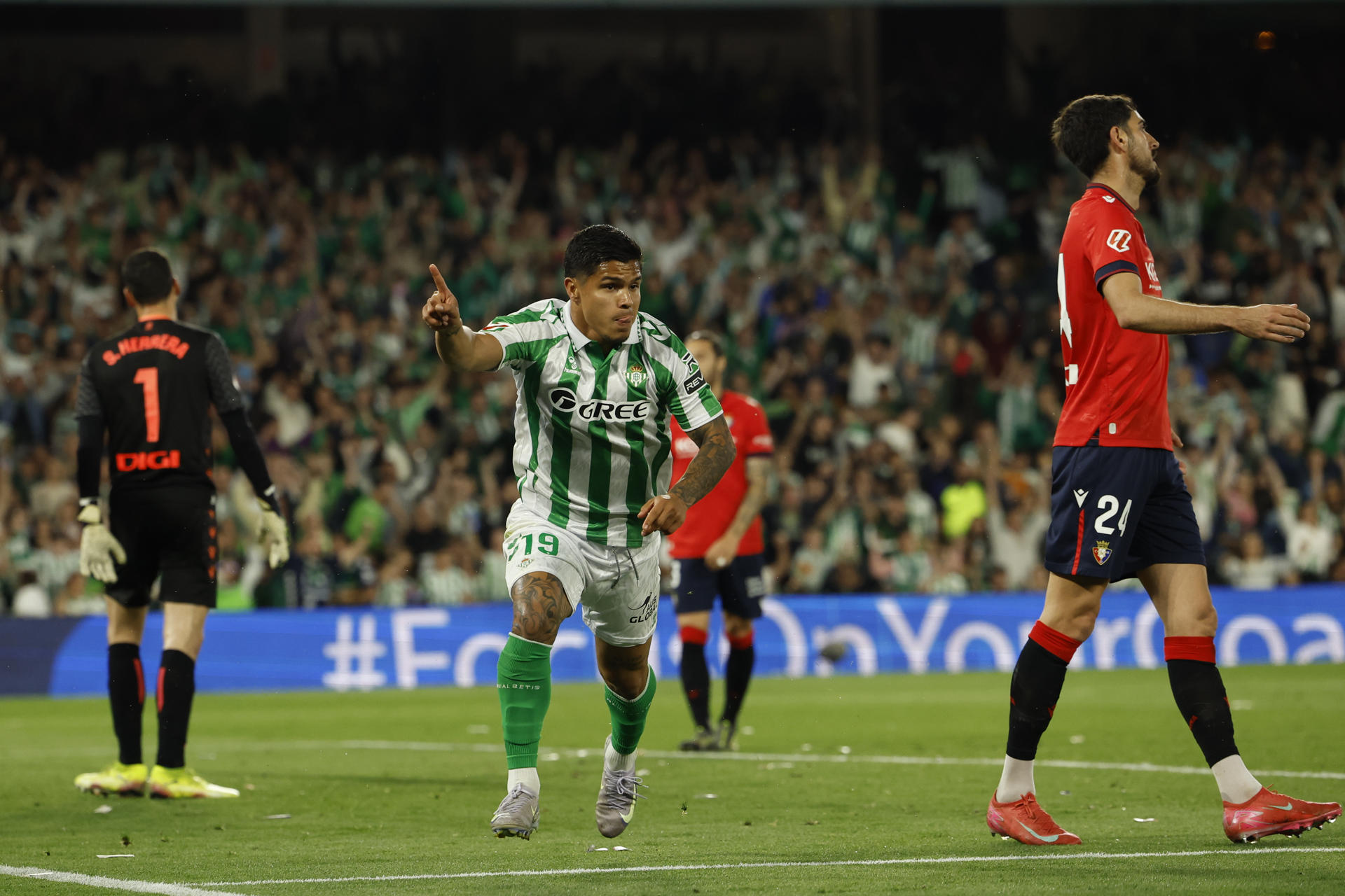 Vea el gol de ‘Cucho’ Hernández con Betis: sueña con Champions el próximo año