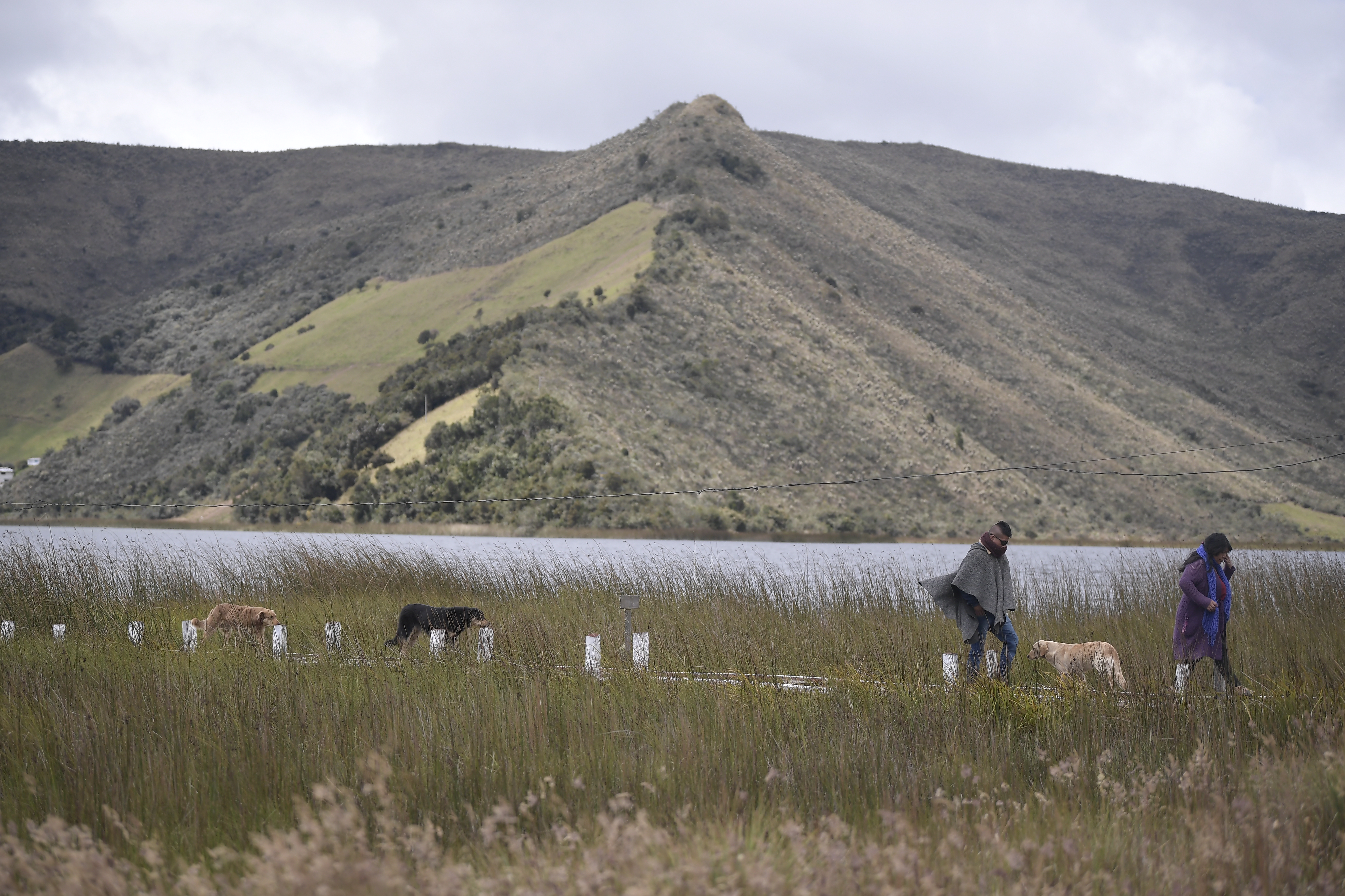 También llamada laguna de La Bolsa,​ está ubicada en la falda del volcán Cumbal, diferentes aspectos de esta: Turismo, campesinos, lanchas, páramo, actividades culturales.