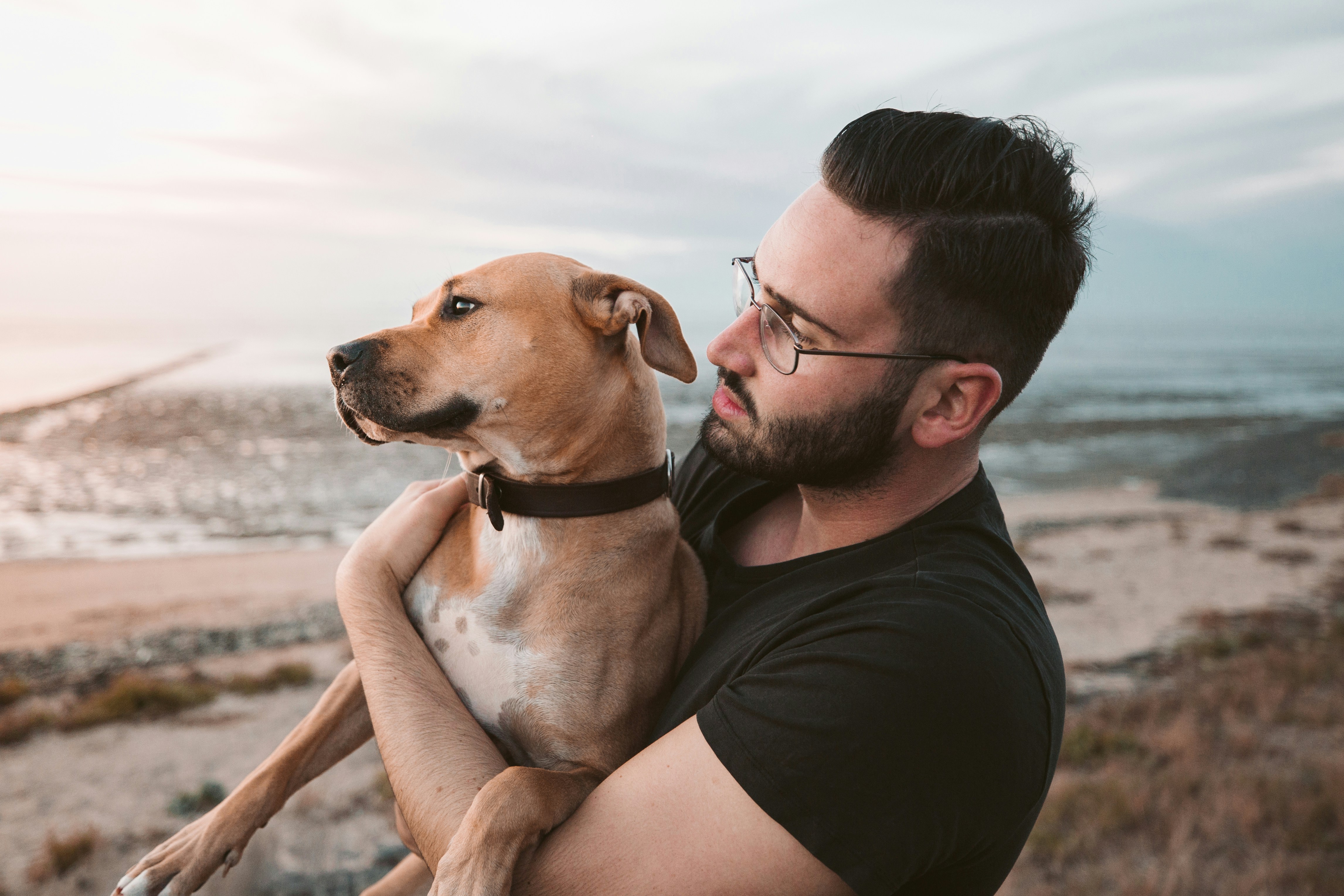 ¿Por qué mi perro se aleja de mí? Te contamos las posibles razones