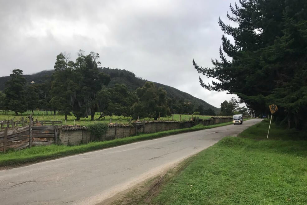 Carrera Séptima al norte de Bogotá es una trampa mortal de especies