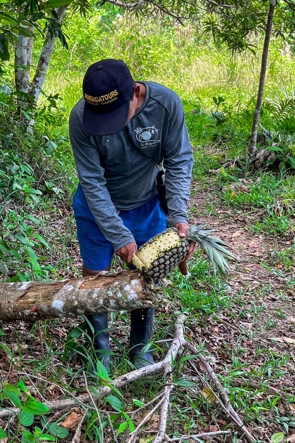 Turismo en el Amazonas