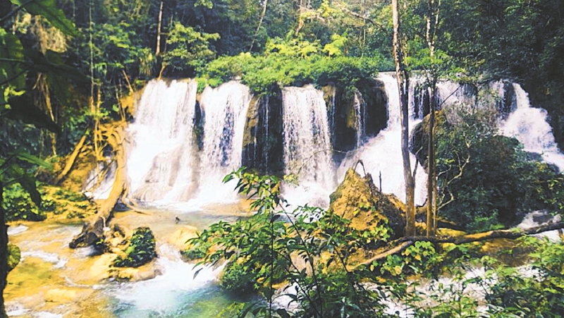Laconda, una selva por explorar