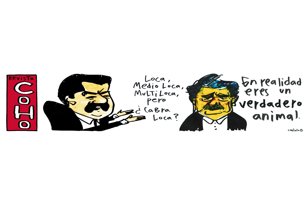 Chócolo