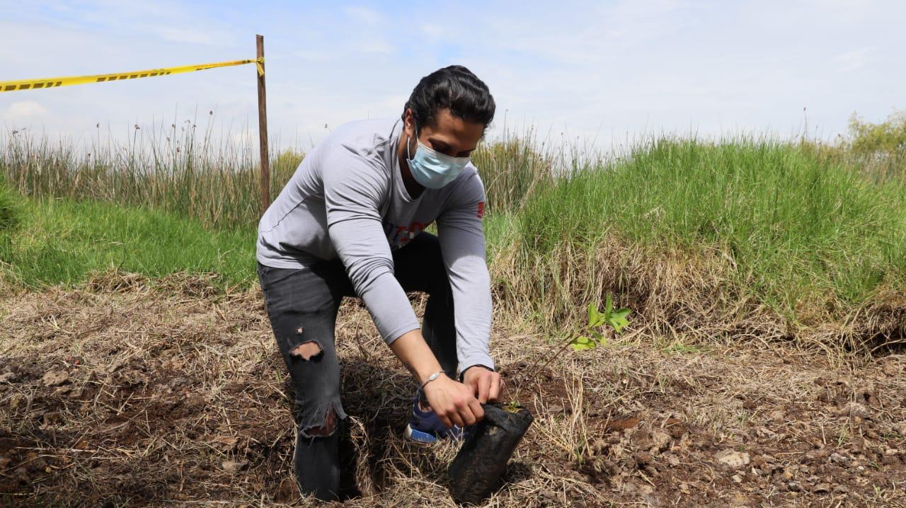 Reforestación de los cerros: un camino largo y que requiere de paciencia