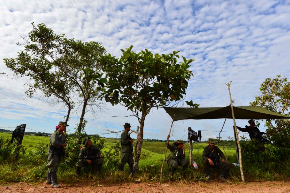 Frentes 35 y 37 de las Farc a punto de su extinción