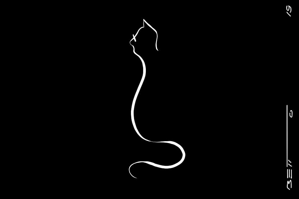 El gato cae parado