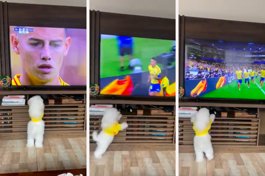 Perro se vuelve viral con su reacción al ver jugar a James Rodríguez: “Qué hincha”