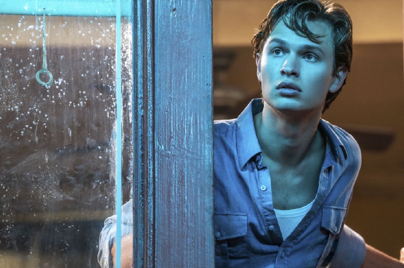 Ansel Elgort: la estrella de un musical mundano