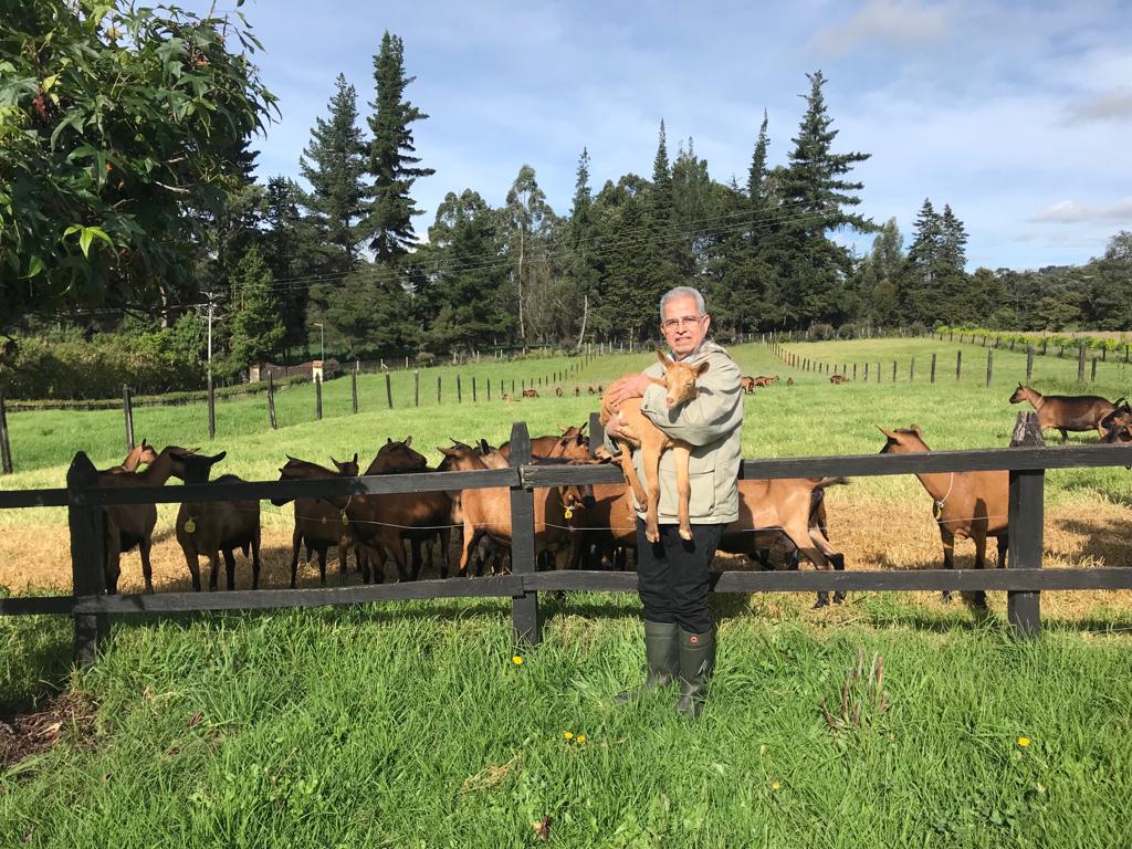 Transforman la leche de cabra para convertirla en productos saludables