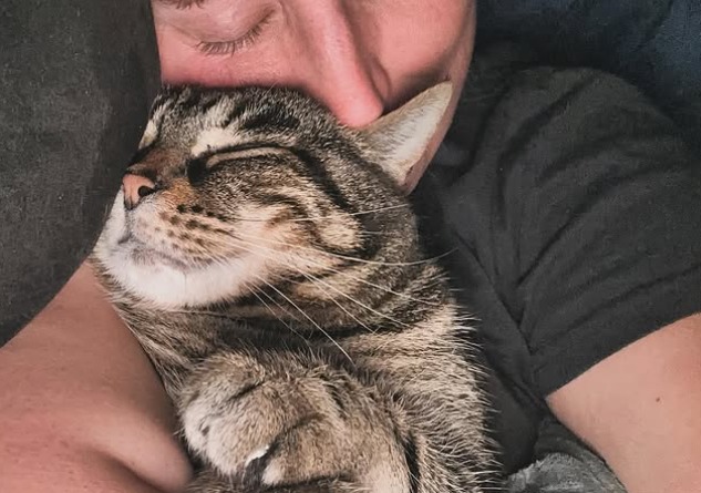 ¿Por qué los gatos se acercan a las personas enfermas?