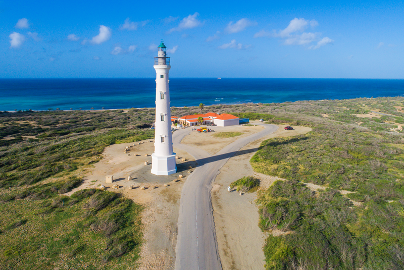Despega la nueva ruta internacional de Wingo entre Cali y Aruba