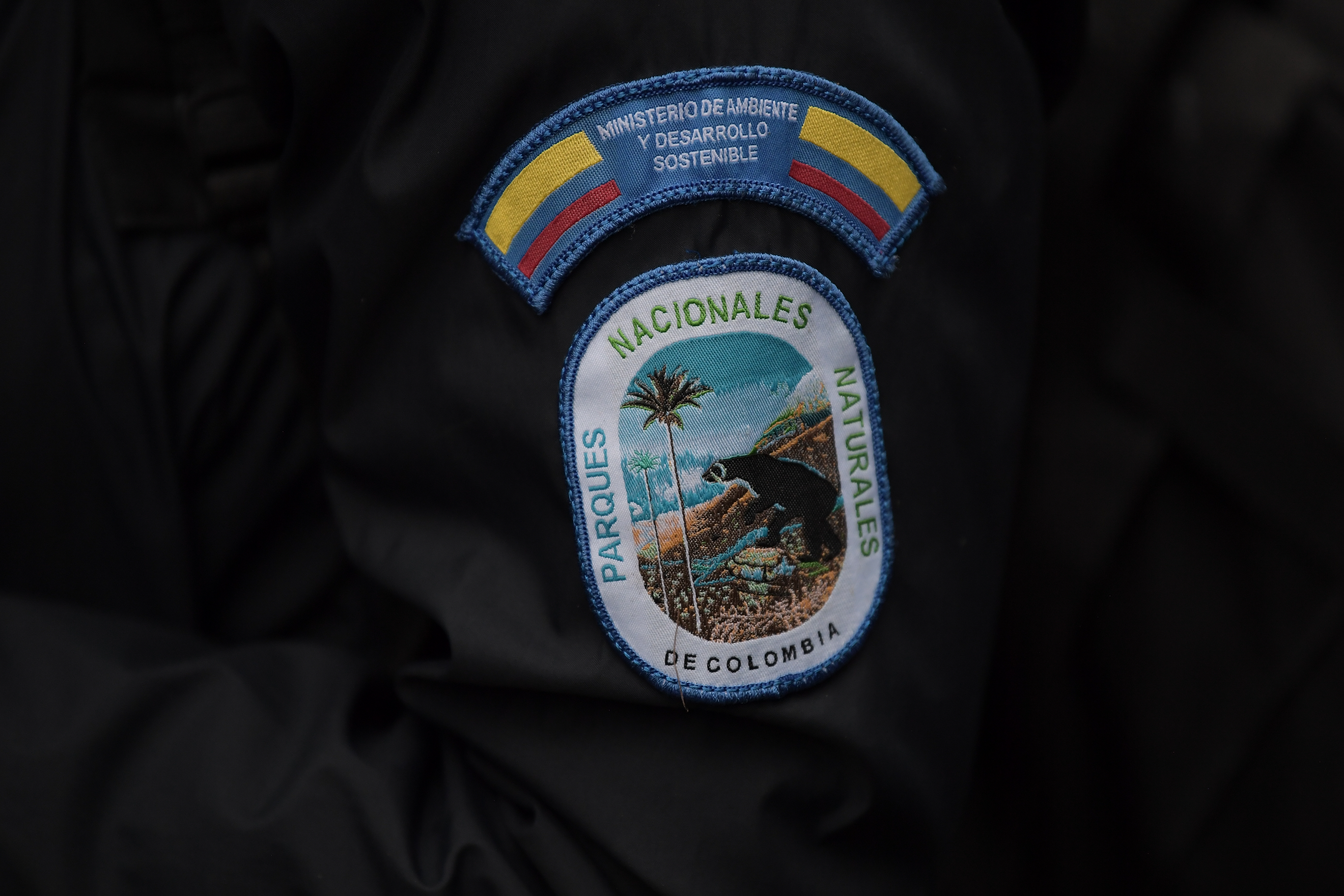 Recorrido por el Parque Chingaza en el que se observan venados, diferentes plantas y la Laguna, ubicada en la cordillera Oriental de los Andes, al noreste de Bogotá.