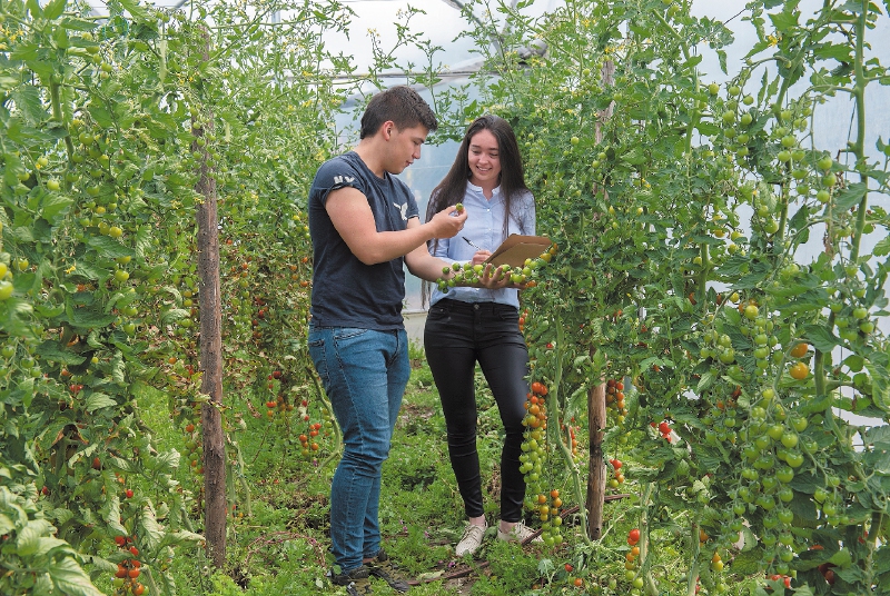 El futuro del agro en Colombia