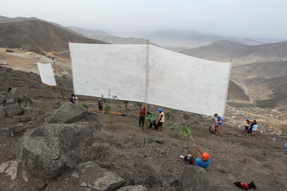 Mil «atrapanieblas» para dar agua en el desierto