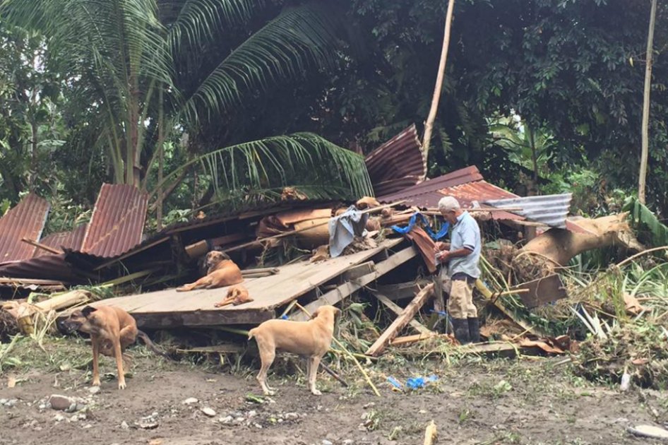 Final feliz para anciano de Costa Rica que se negó a ser salvado de “Otto” sin sus perros