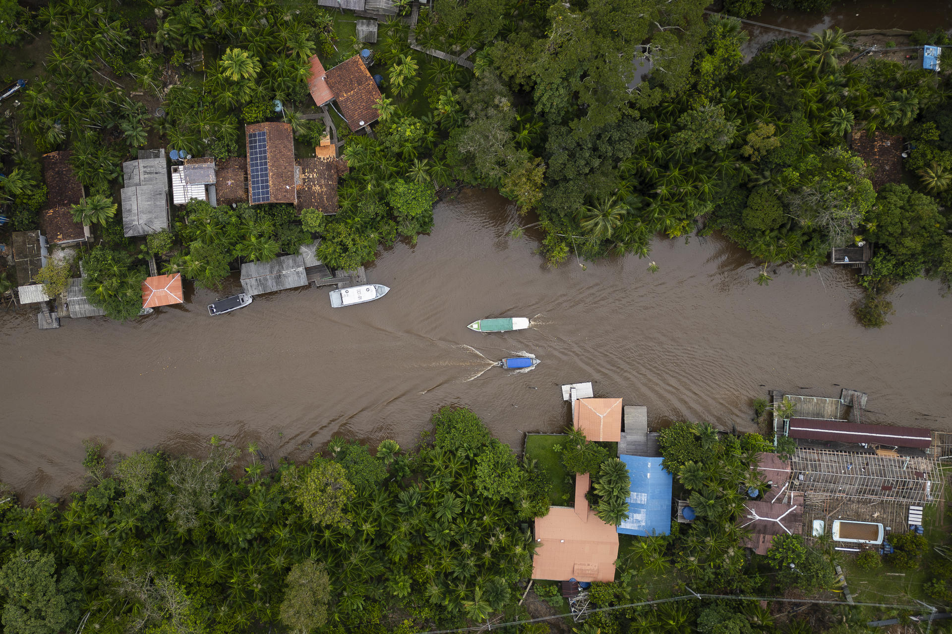 La Amazonía contará con aceleradora de bionegocios: BID invertirá $4.000 millones