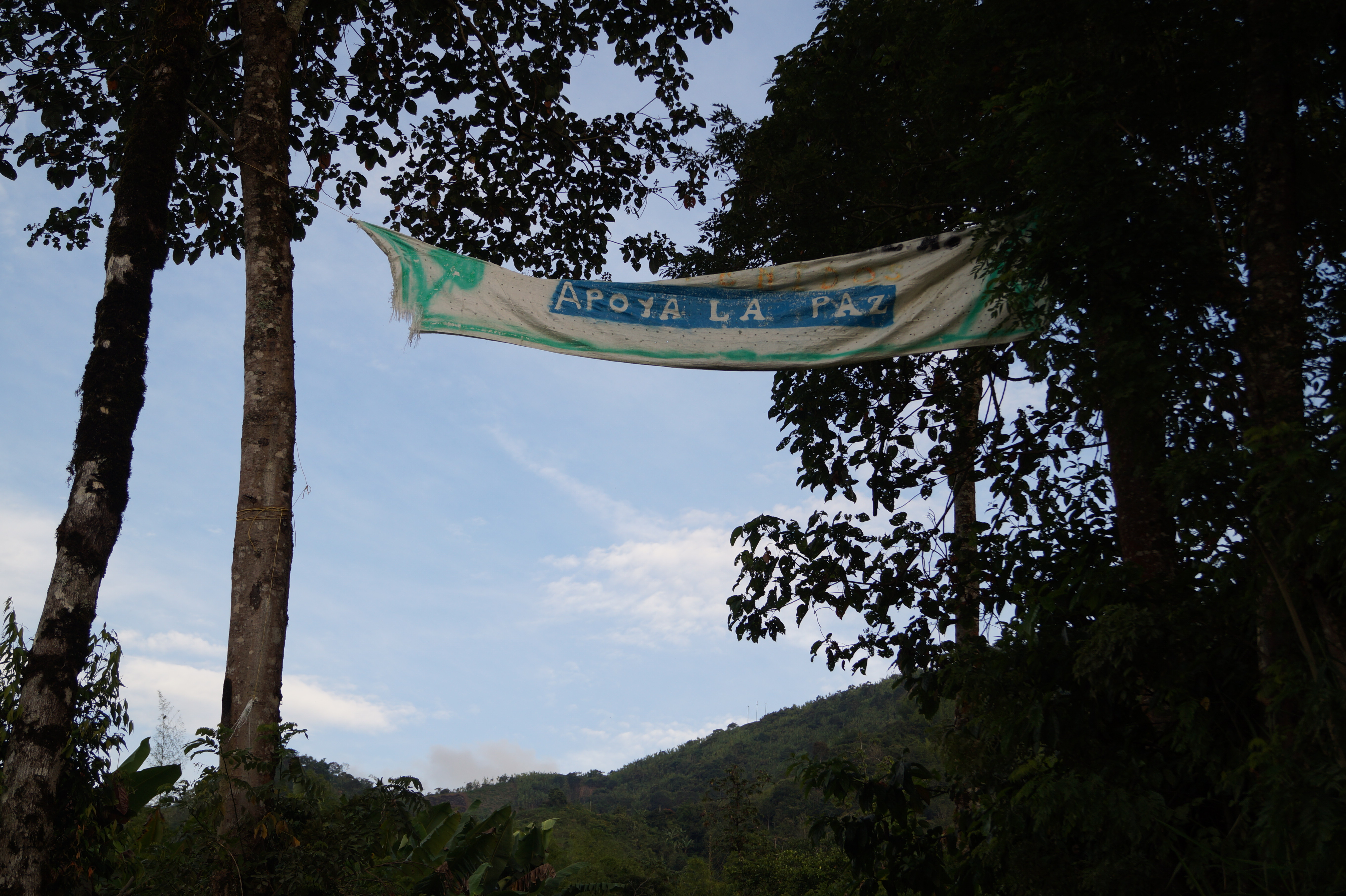 “Apoyo a la Paz” ondea en la entrada de la finca La Pangola, vereda La Rueda. Allí se desarrolla su proyecto piscícola.