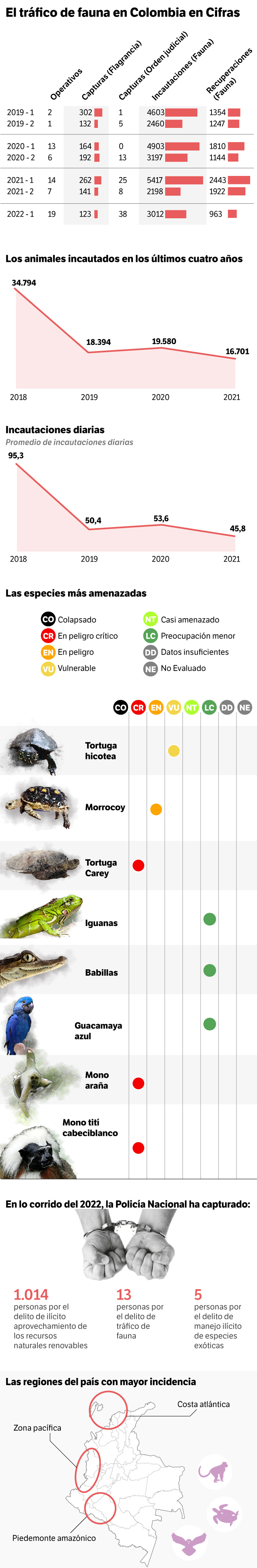 *Información y cifras de la Dirección de Protección y Servicios Especiales de la Policía Nacional, área de protección ambiental y ecológica.