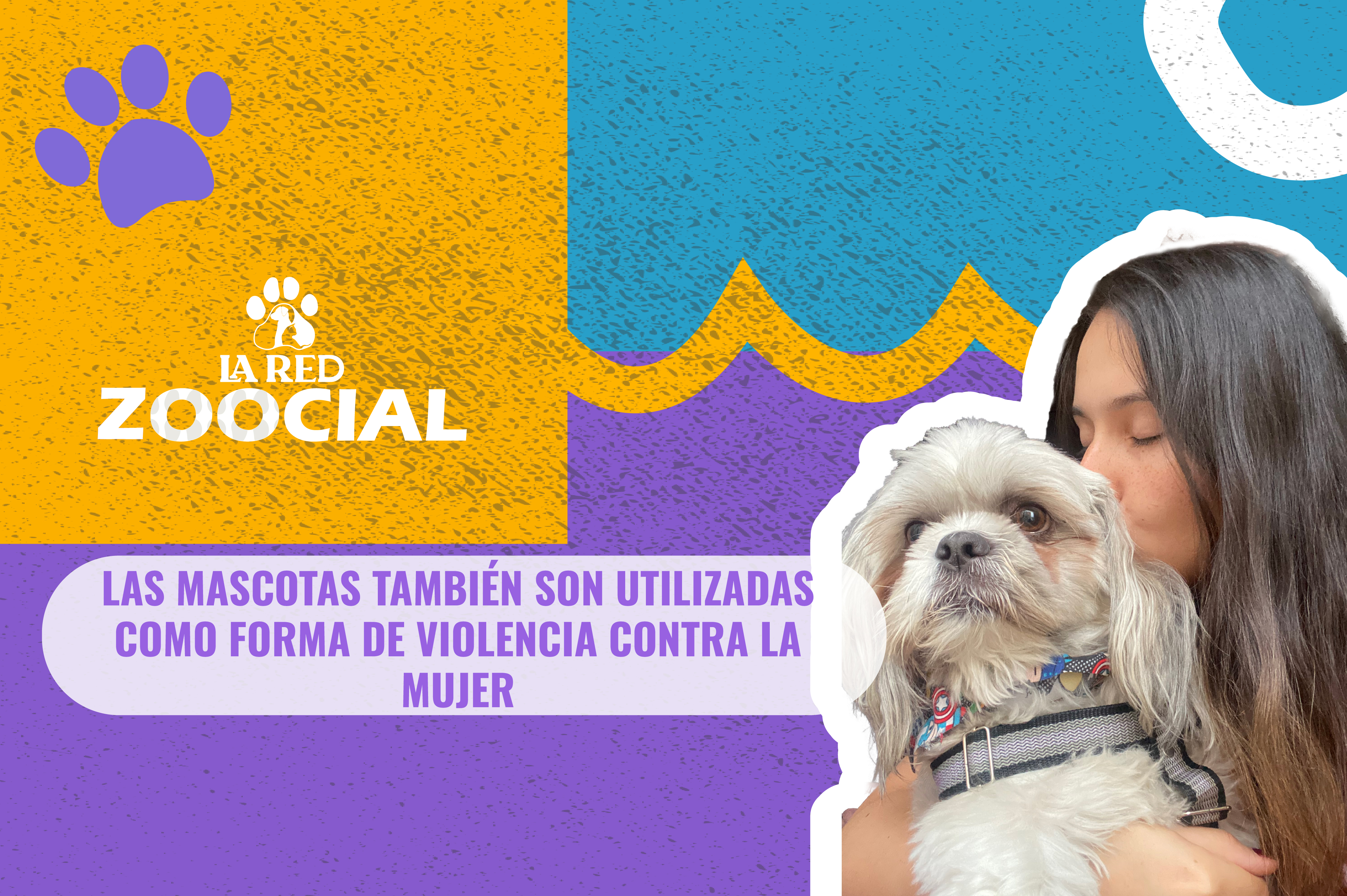 Las mascotas también son utilizadas como forma de violencia contra la mujer