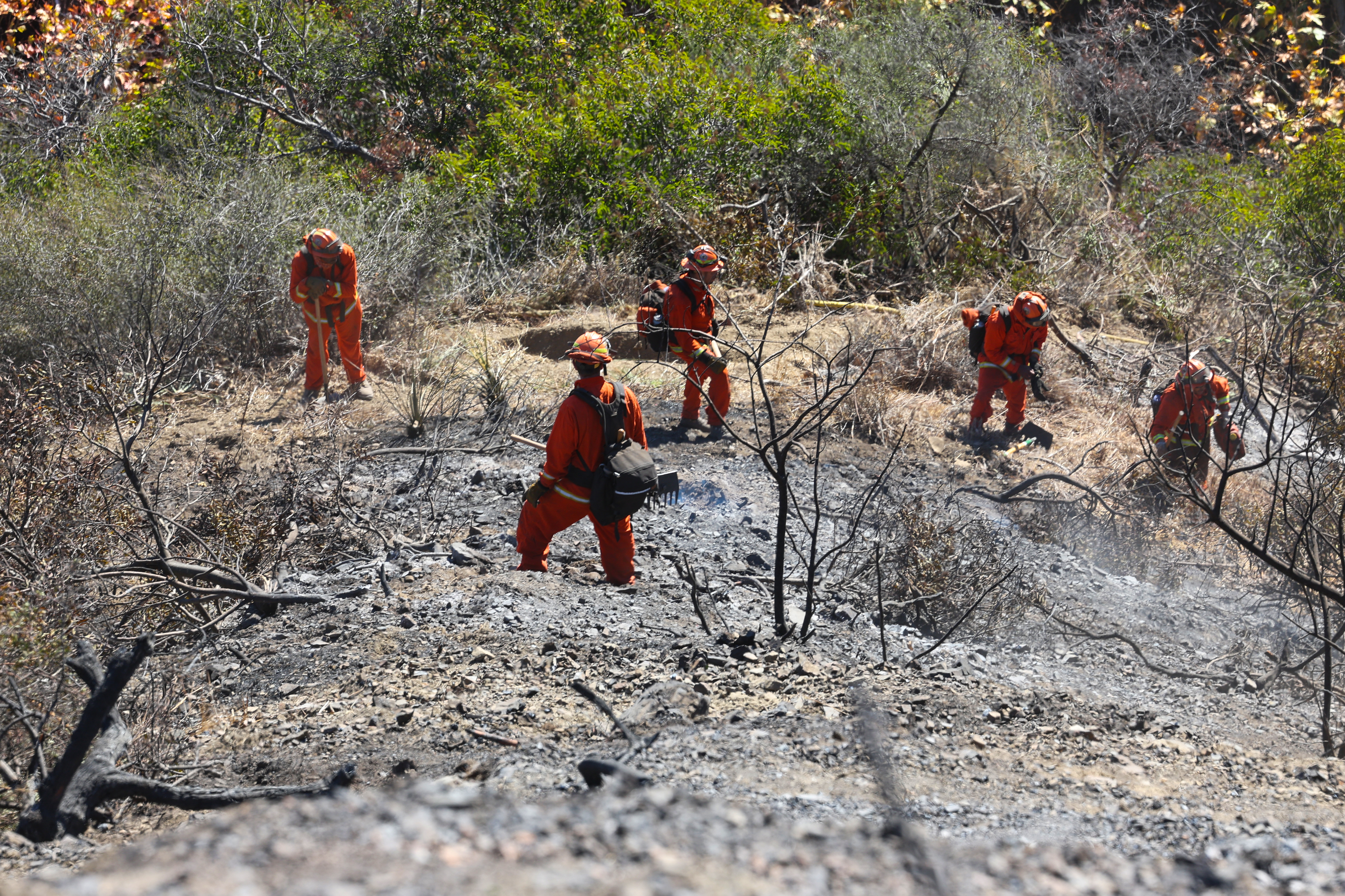 Presos ayudan a combatir los incendios de Los Ángeles: “Es una oportunidad”