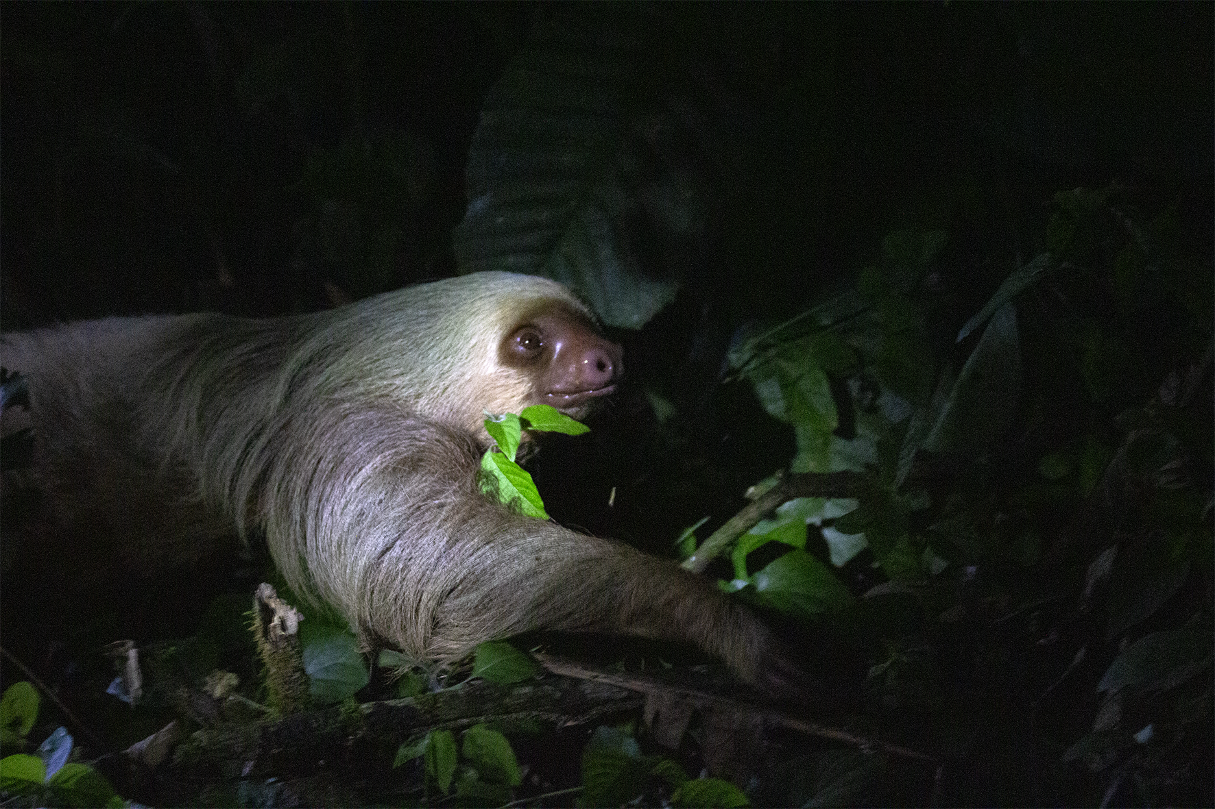 En fotos: un viaje visual por la Costa Rica salvaje