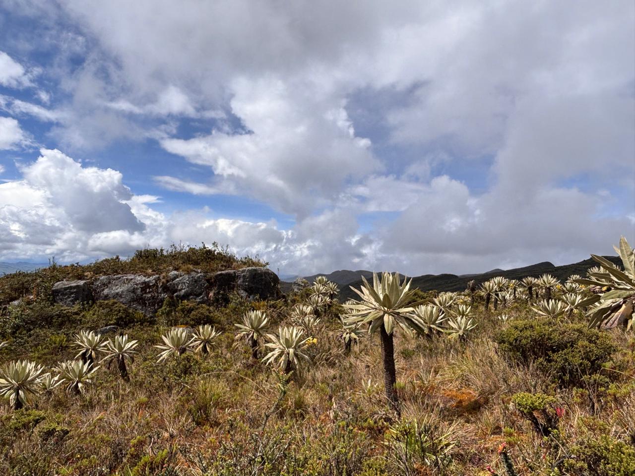 Senderismo en el páramo de Guatanfur: ¿cómo llegar  y cuál es la ruta?