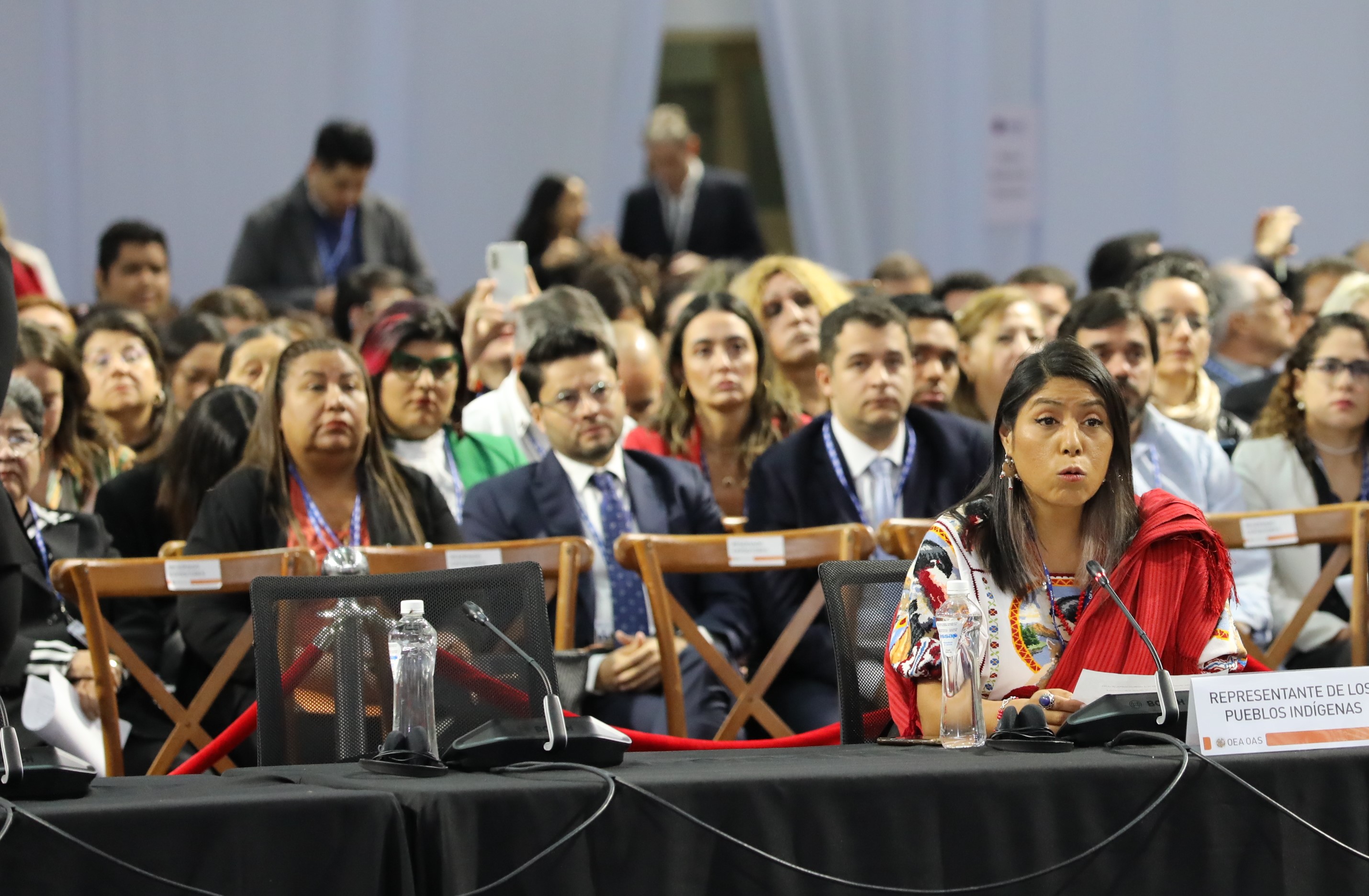 Patricia Torres Sandoval es del pueblo indígena Purepechá y vive en México.
