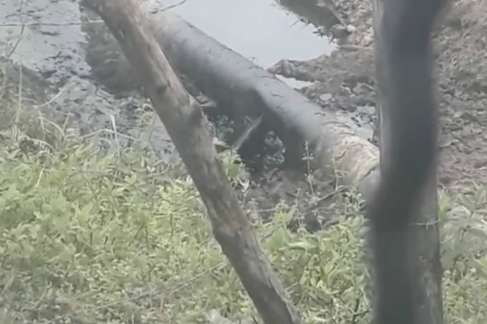 Ecopetrol denuncia atentado contra el Oleoducto Trasandino en Tumaco