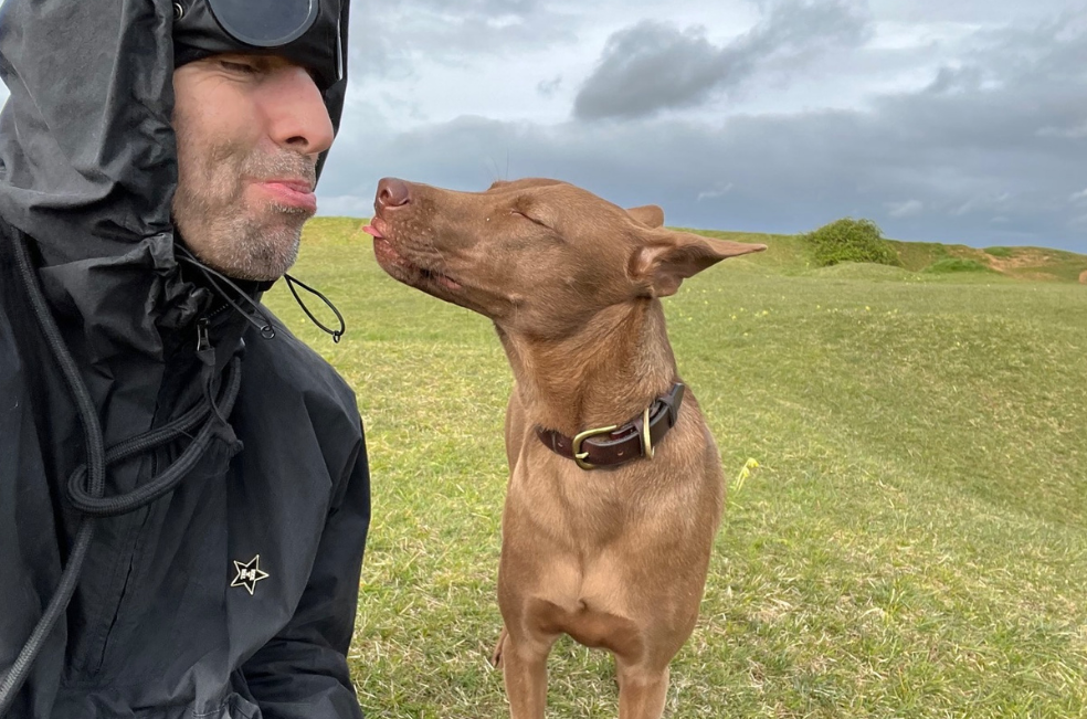 Reconocido cantante adopta a una perrita y gana un premio por su generosidad