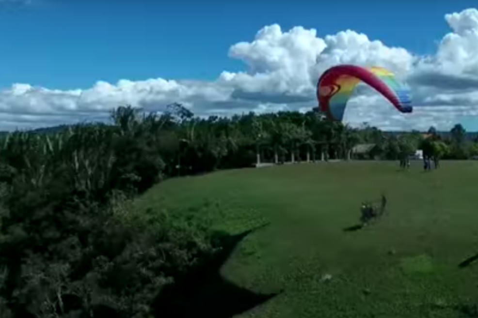 “Bombas de semillas” tiradas desde parapentes combaten la deforestación en Brasil