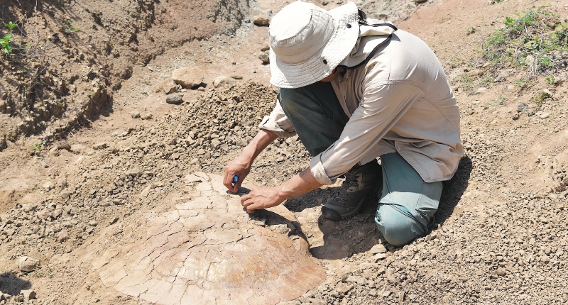 Edwin Cadena durante la excavación en el desierto de la Tatacoa. / Cortesía