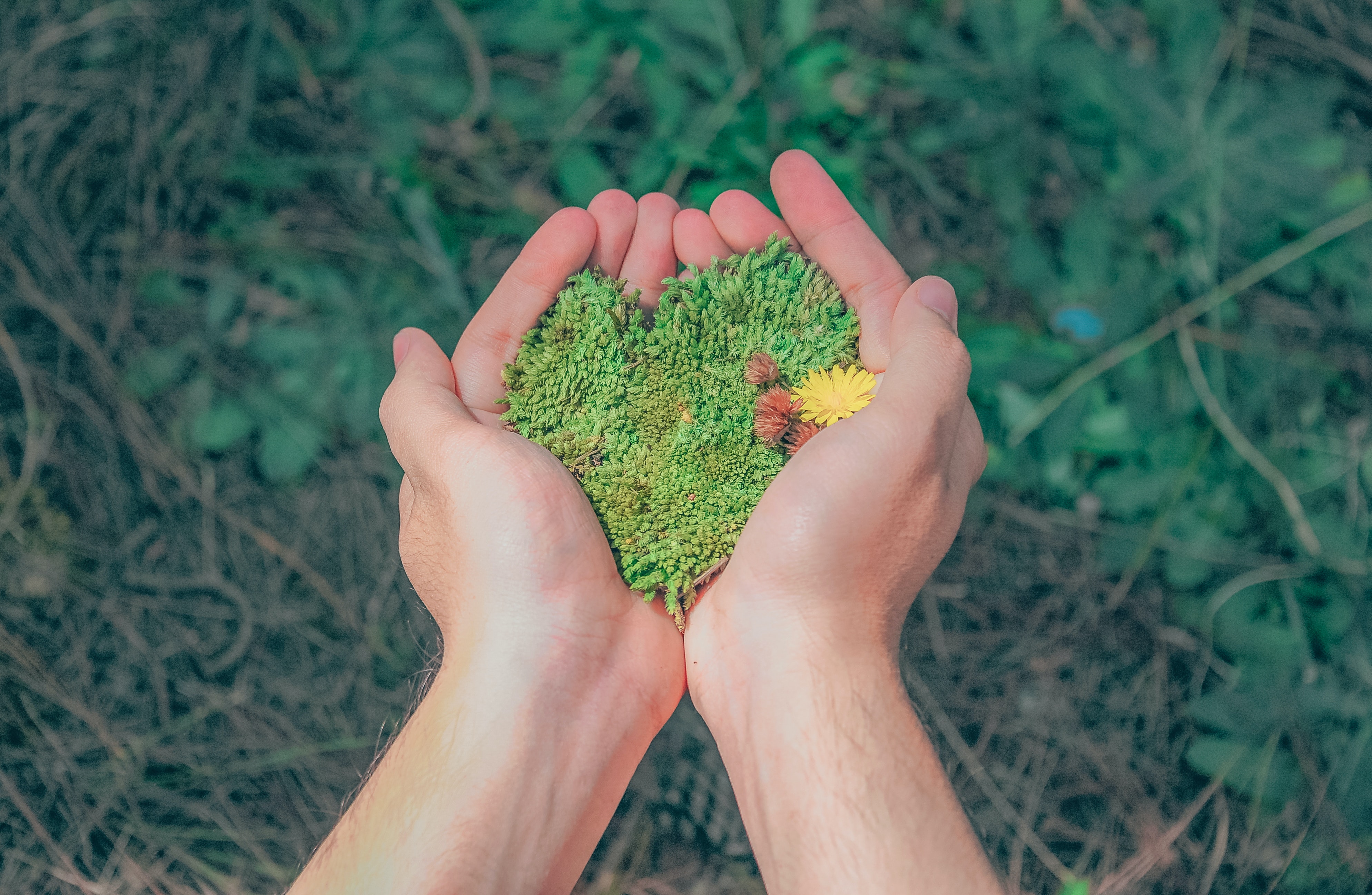 Seis emprendimientos colombianos amigables con el medio ambiente